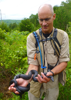 black rat snake